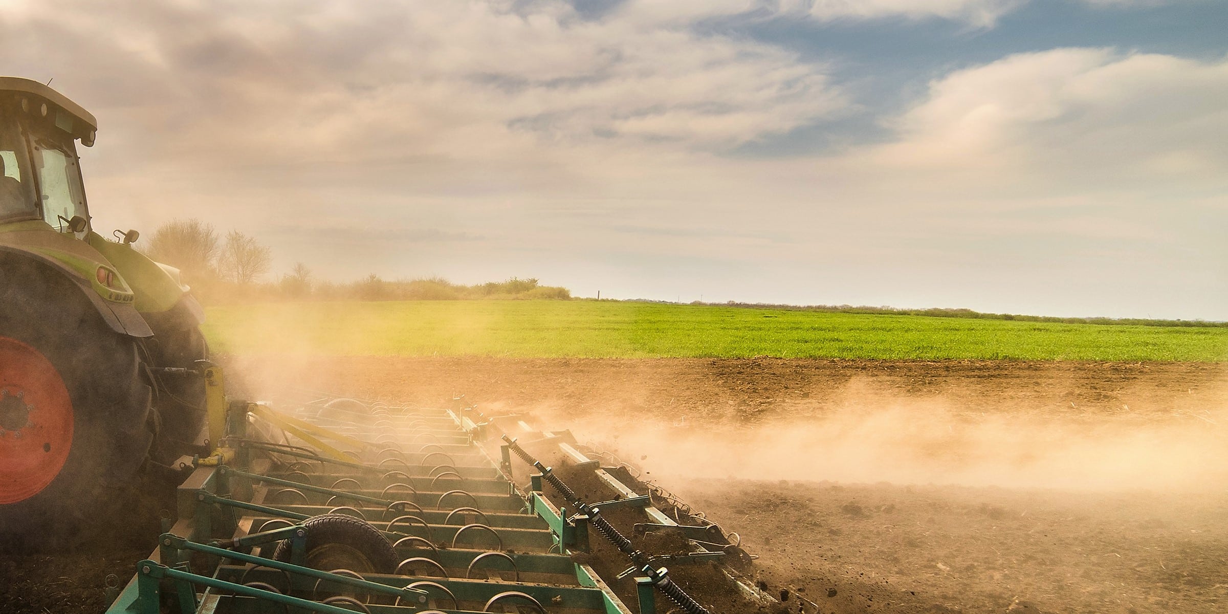 Health Experts: Increased Risk For Valley Fever Looms In Kern County, Southwest United States (Steps To Reduce Threat)