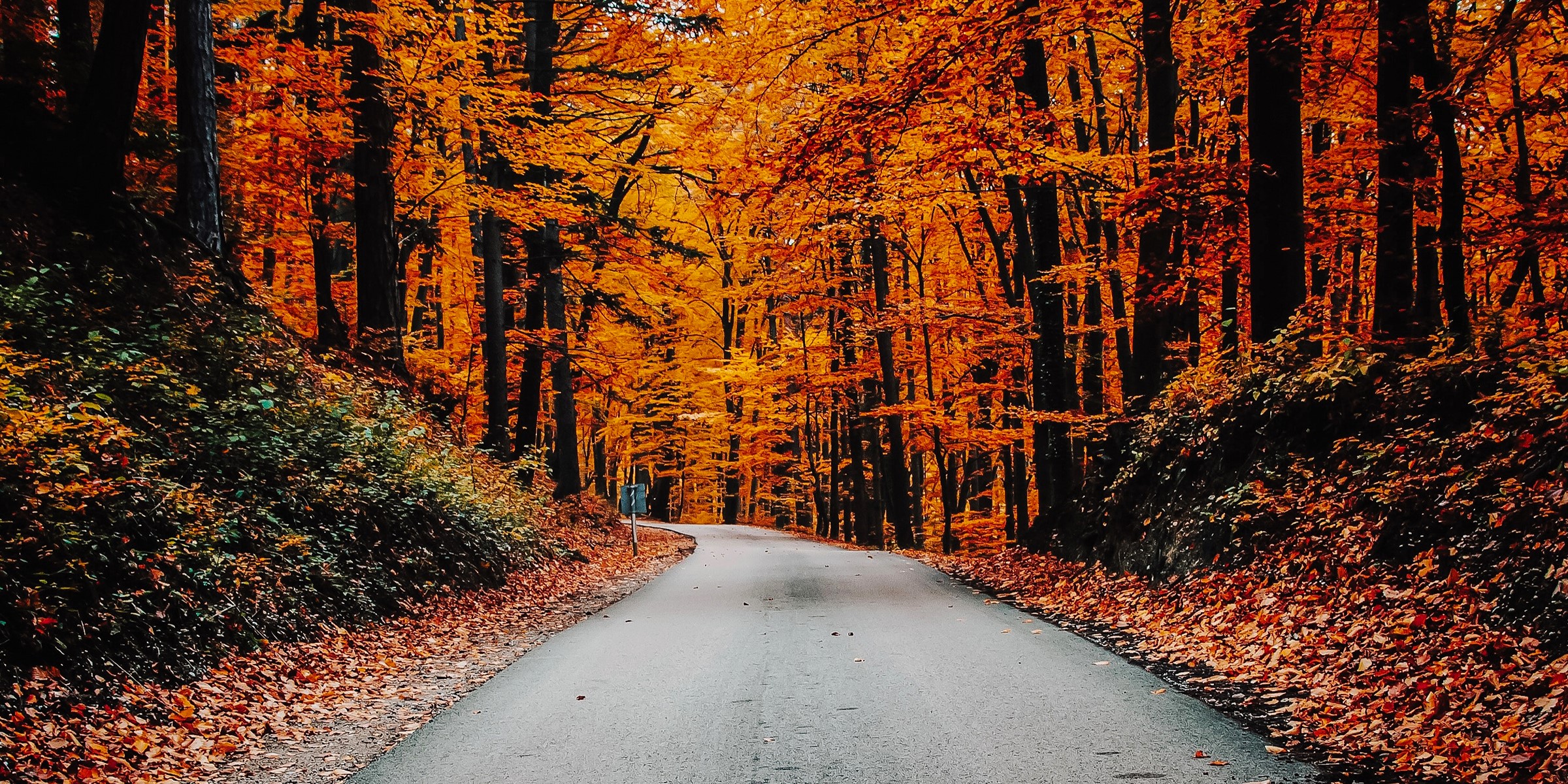 ‘Tis the Season for Car Accidents: How to Stay Safe On The Road During The Fall