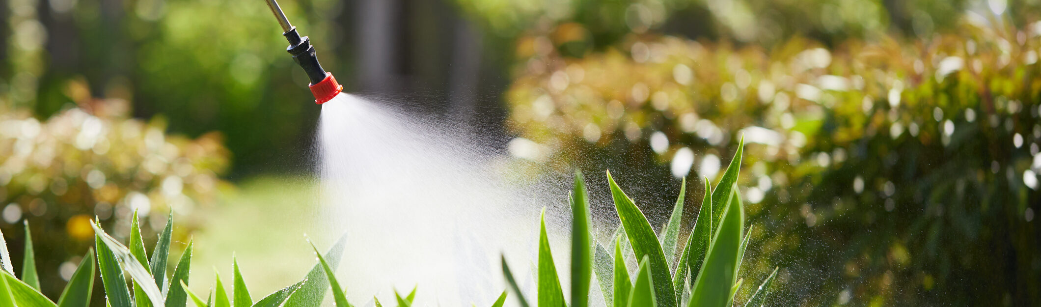 Chain Cohn Clark Pesticide Exposure Attorney Kern County CA