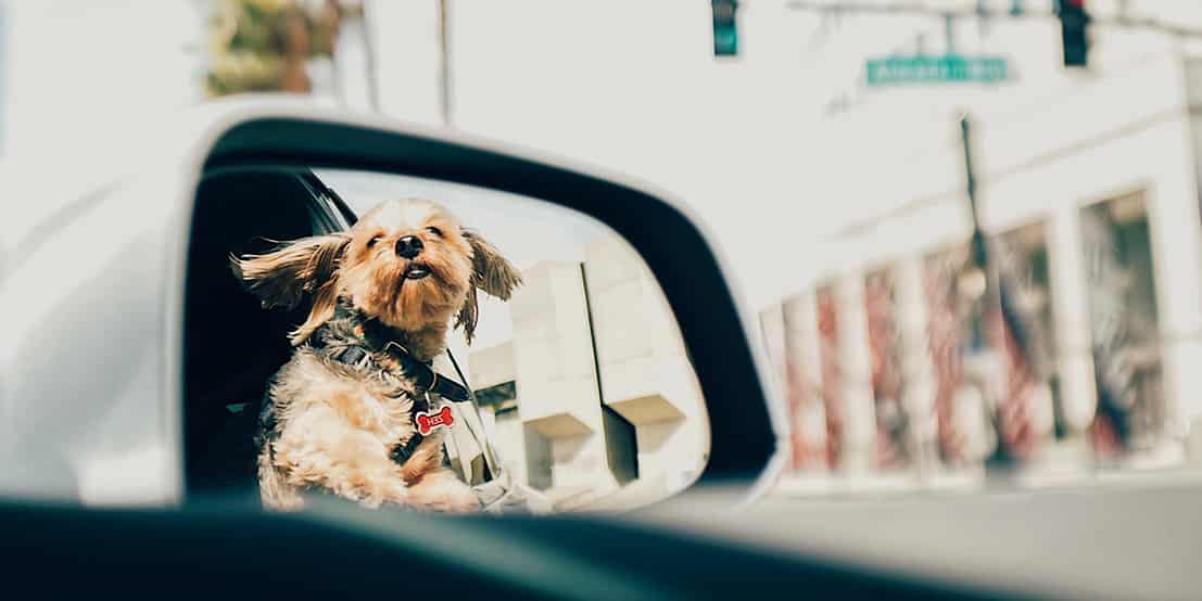 Roadways more dangerous during summer days thanks to risky driving behavior, teenagers