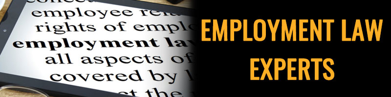 Employment Lawyers